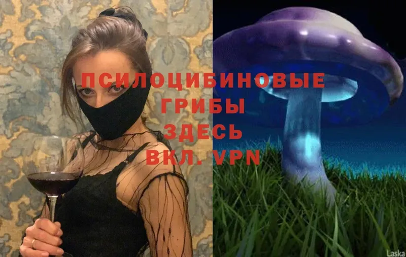 Галлюциногенные грибы Magic Shrooms  кракен ссылки  Раменское 